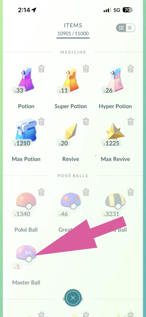 What Do Y’all Do With Master Balls!?