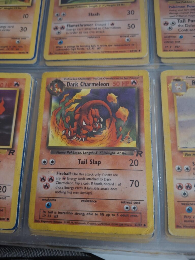 found a different charmeleon
