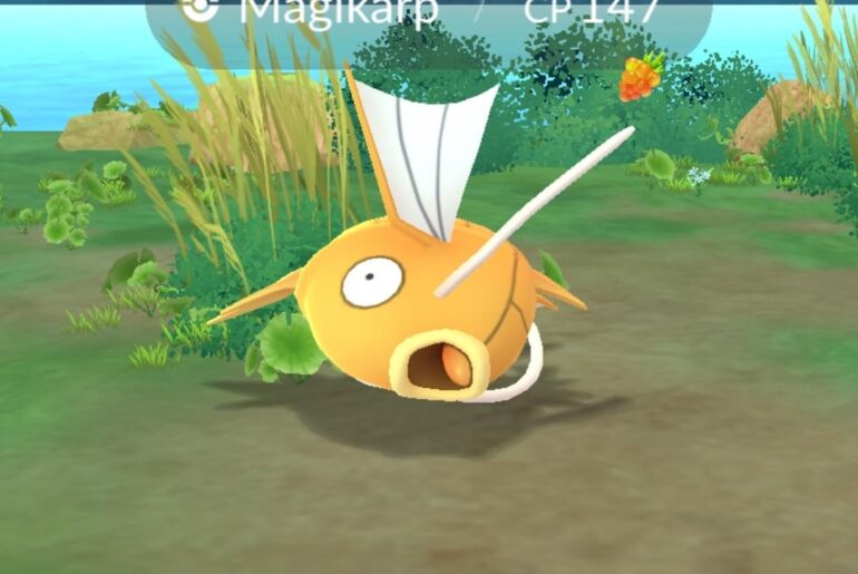 Finally !!!!! 🐠 ✨