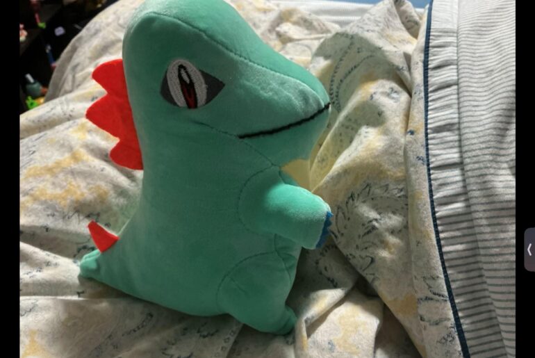 Bootleg totodile from Nicaragua