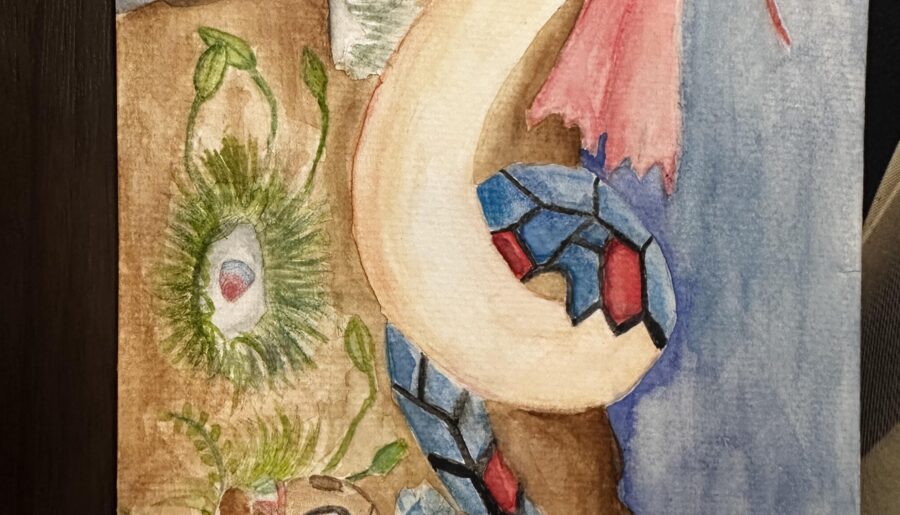Milotic and Feebas !