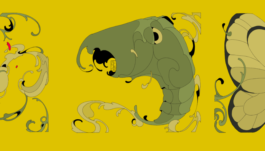the caterpie family