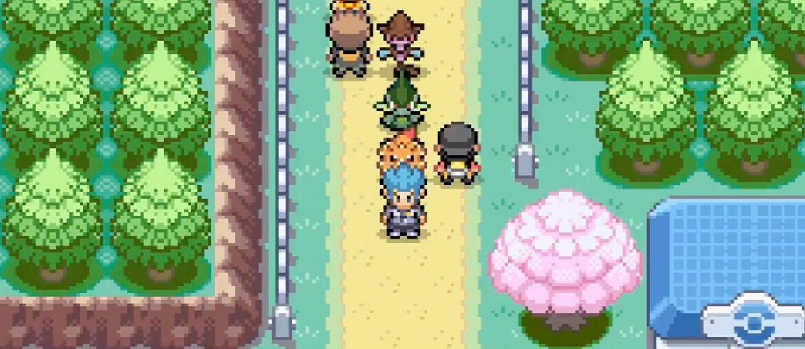 Trainer with Pokémon in Pokémon Quetzal