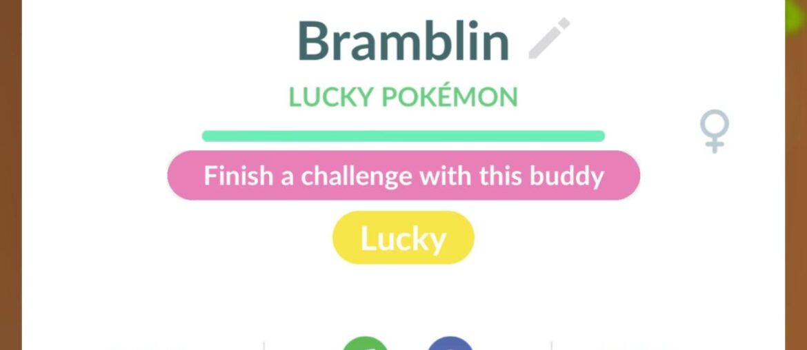 Bramblin buddy task not showing